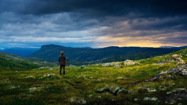 Espen Oltin qasrni izlab: barcha qismlar