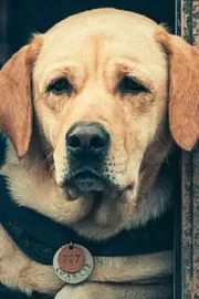 Charlie