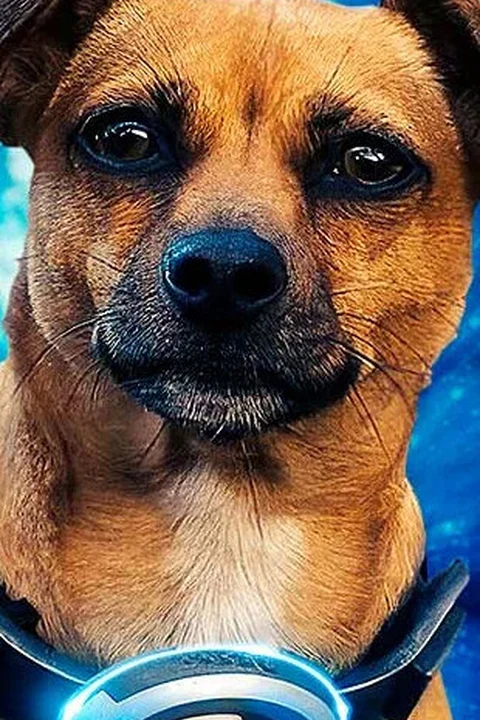Сальса