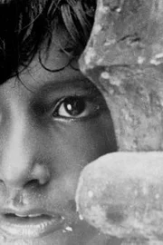 Subir Bannerjee
