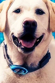 Parker