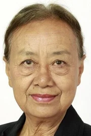 Cheng Xingxing