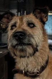 Seamus
