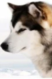 Noble