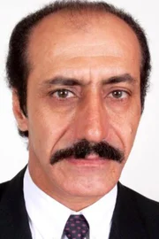 Mike Akrawi