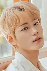 Han Se-jin