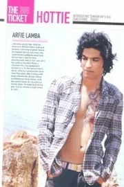 Arfi Lamba