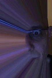 Lawrence Shragge
