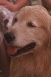 Ben